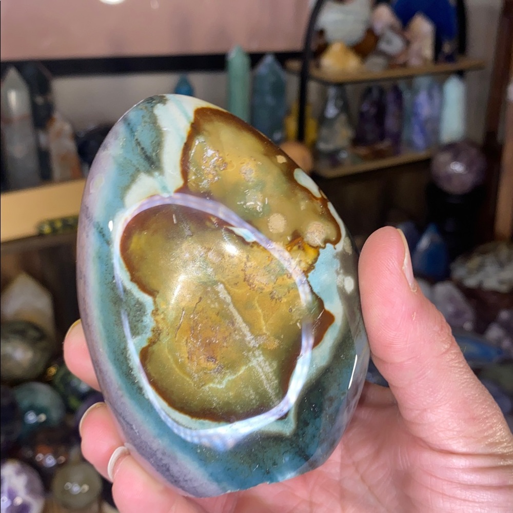 Madagascar High Quality Ocean Jasper Freeform | High Polish Collector Piece